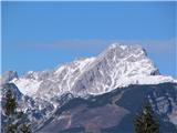 Kranjska reber (Kašni vrh) - Kašna planina 